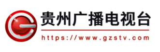描述