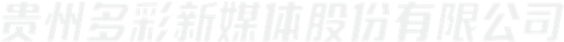 描述