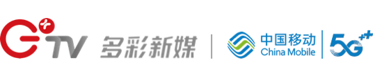 描述